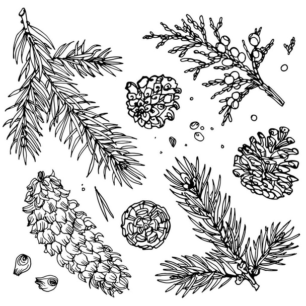 forest objects set - Vector, afbeelding