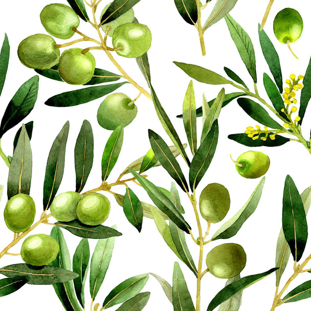Olive tree pattern in a watercolor style isolated. - Foto, Imagem
