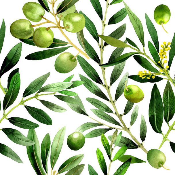 Olive tree pattern in a watercolor style isolated. - Fotoğraf, Görsel