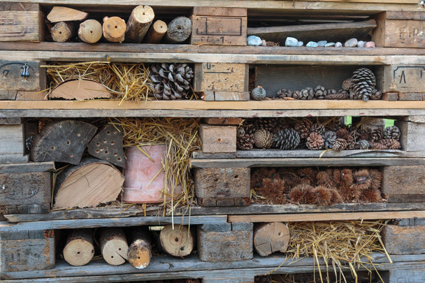 Holzpaletten stapeln sich mit Ästen, Kastanien und Tannenzapfen - Foto, Bild