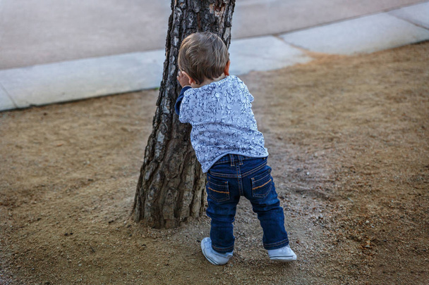 Ένα παιδί σπρώχνει έντονα ένα δέντρο σε ένα πάρκο - Φωτογραφία, εικόνα