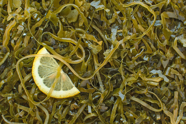 Background of kelp (laminaria) and small slice of lemon - Photo, Image