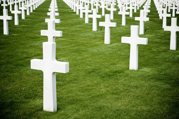 Кладовищі в Нормандії
 - Фото, зображення