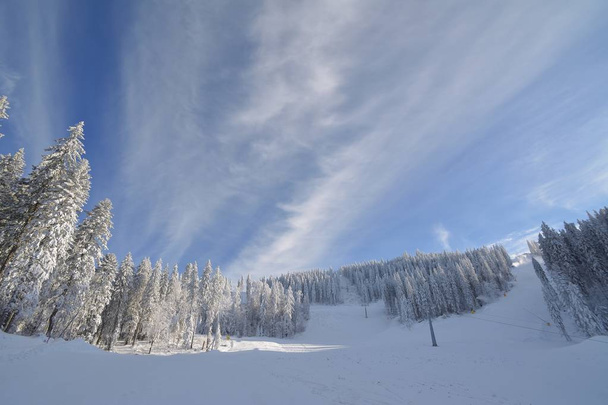 Estância de esqui de montanha, Romênia, Transilvânia, Brasov, Poiana Brasov
 - Foto, Imagem
