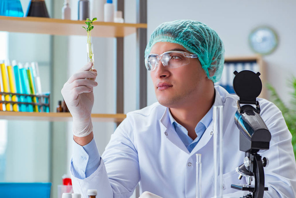 Biotechnology scientist working in the lab - Фото, зображення