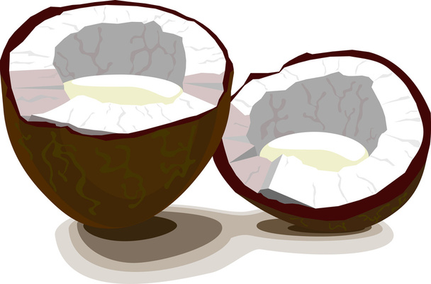 Coconut half - Vector, Image