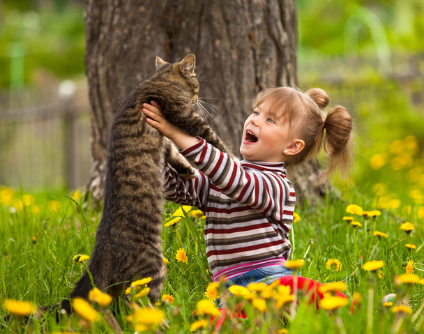 Pieni tyttö ja kissa
 - Valokuva, kuva