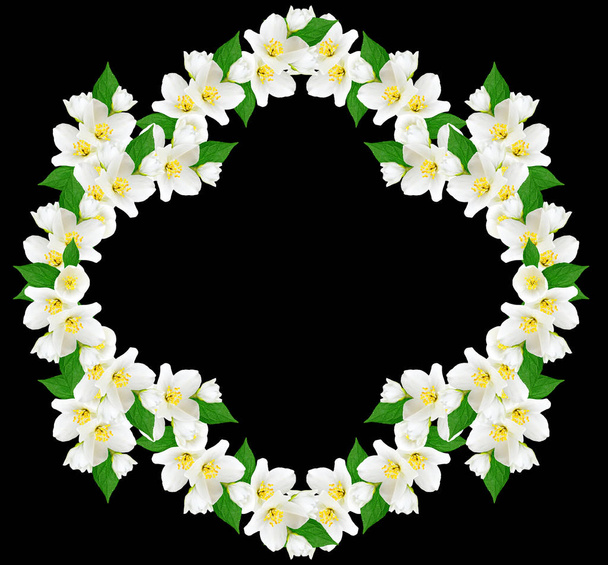 tak van jasmijn bloemen  - Foto, afbeelding