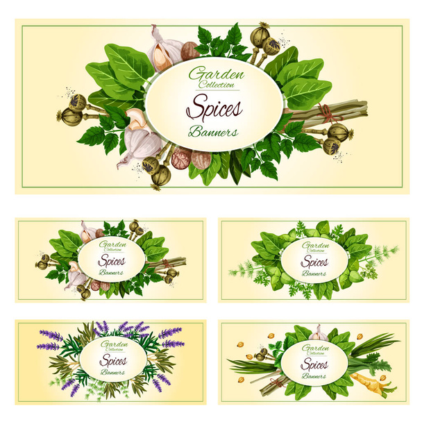 Fresh herbs, spices and condiments banner set - Vector, Image