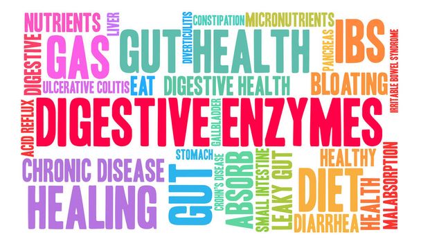 Digestive Enzymes Word Cloud - Vector, Image