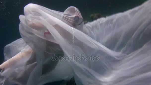 Underwater model young girl free diver in white transparent veil in Red Sea. - Felvétel, videó