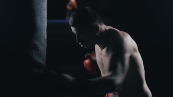 男性ボクサー ボクシング クラブでトレーニングします。人間サンドバッグ - 映像、動画
