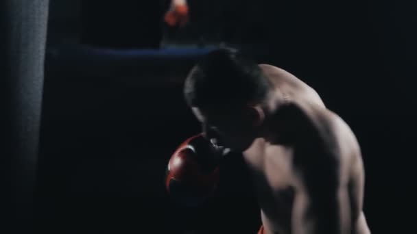 Boxer punching bag. Slow motion sequence. - Filmati, video