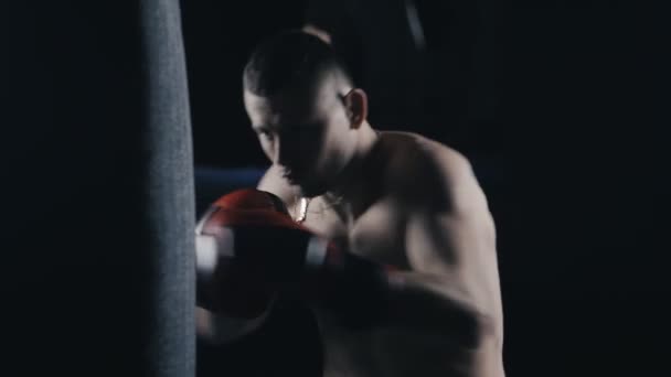 男性ボクサー ボクシング クラブでトレーニング - 映像、動画