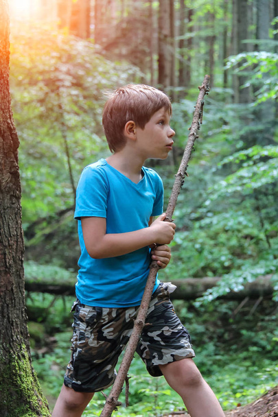 Boy with long wooden stick in forest park in sunlight - Photo, Image