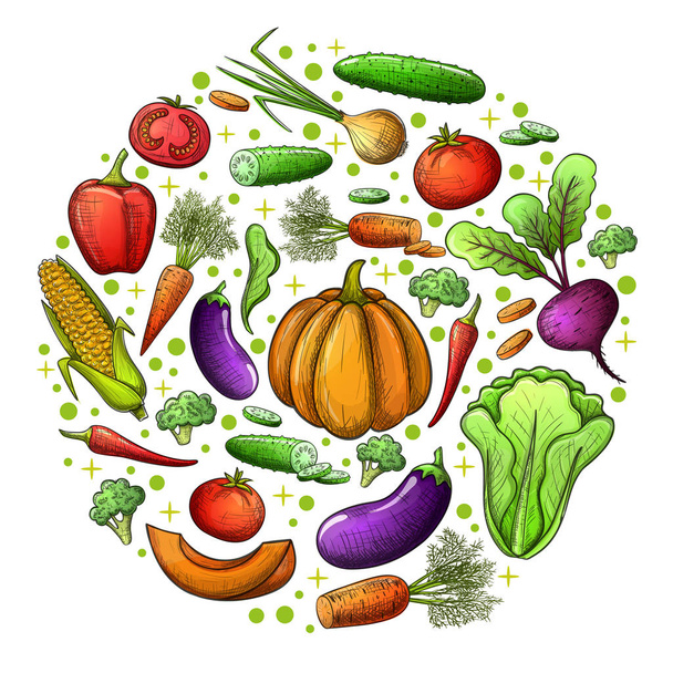 набор овощей - Вектор,изображение
