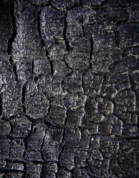 The surface of the coal  - Zdjęcie, obraz