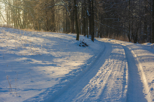 Téli csodaország reggel - Fotó, kép