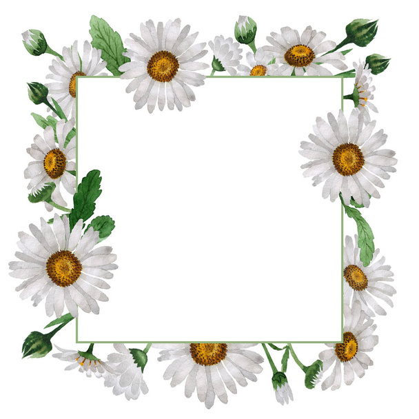 Wildflower chamomile flower  frame in a watercolor style isolated. - Fotografie, Obrázek