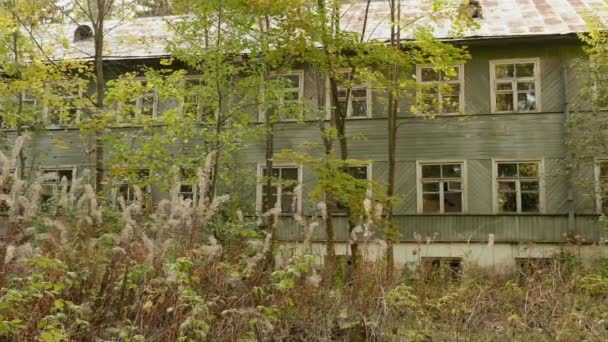 Overgrown house in the forest. Autumn daytime. Smooth dolly shot - Filmagem, Vídeo