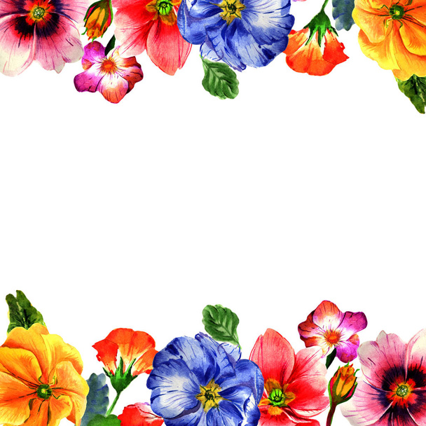 Wildflower primula flower frame in a watercolor style isolated. - Foto, afbeelding