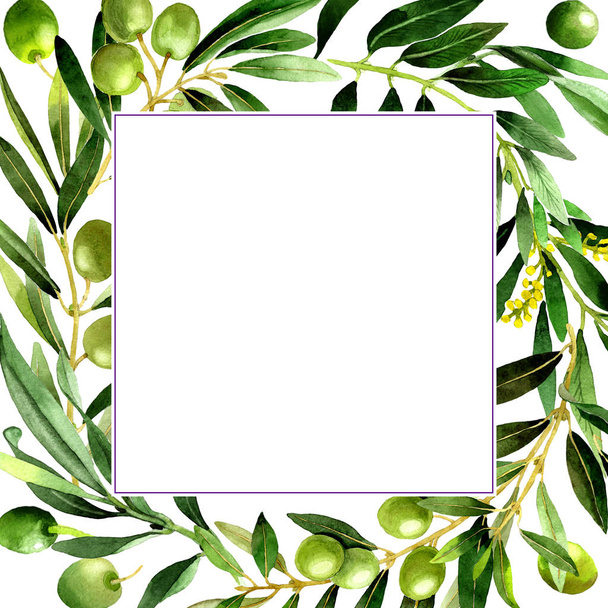 Olive tree frame in a watercolor style isolated. - Foto, imagen