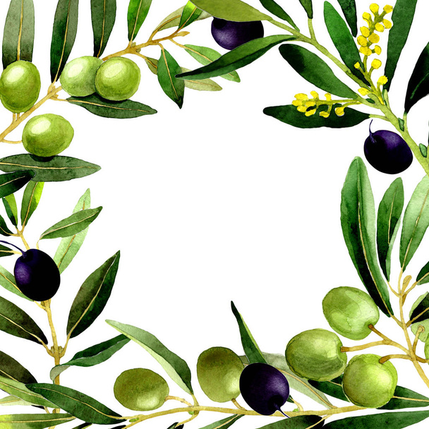 Marco de olivo en un estilo de acuarela aislado
. - Foto, imagen
