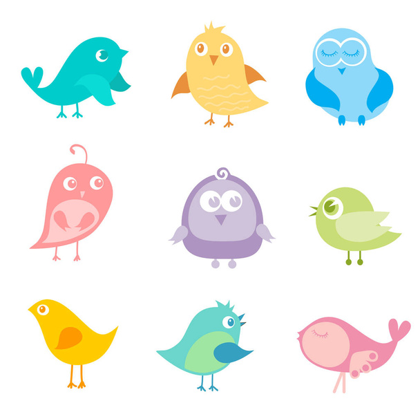 Set of different cute birds. - Vector, afbeelding