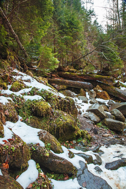 Beautiful mountain waterfall Huk in the Carpathians - Photo, Image