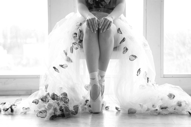 Legs of a ballerina. Feet of dancing ballerina - Fotó, kép