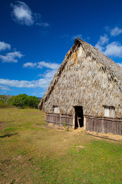 Typical barn on tobacco plantations - Foto, imagen