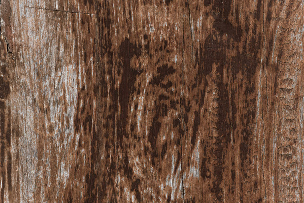 Texture bois naturel - Photo, image
