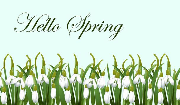 Kevät tausta lumi pisara kukkia, vihreä ruoho. Voidaan käyttää pääsiäisenä, syntymäpäivänä, häät, vuosipäivä, 8 maaliskuu, naistenpäivä. Kausimyynti. Sininen tausta. Vektoriesimerkki
 - Vektori, kuva