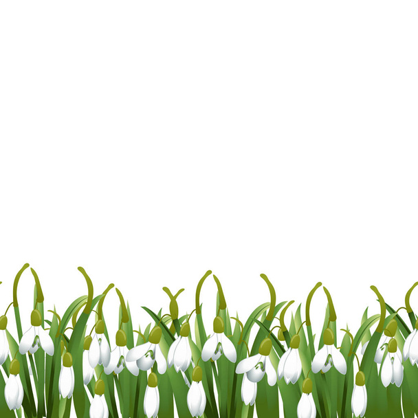 Весняний фон з квітами снігу, зеленою травою. Може використовуватися на Великдень, день народження, весілля, річницю, 8 березня, жіночий день. Сезонні продажі. Векторні ілюстрації
 - Вектор, зображення