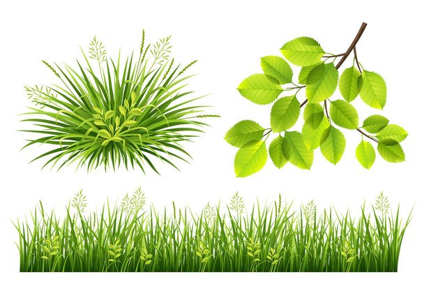 Summer grass and leaves - Vector, Image