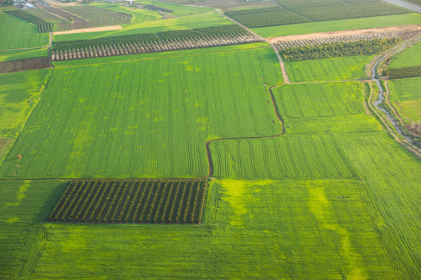 Green fields background. - Фото, зображення