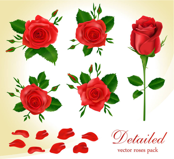 wektor czerwone róże - Wektor, obraz