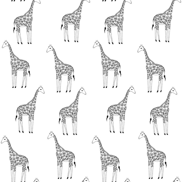 Vector seamless background of giraffes. - Vettoriali, immagini