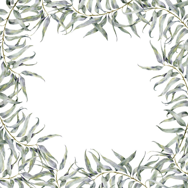 Bordo di eucalipto acquerello. Illustrazione floreale dipinta a mano con ramo di eucalipto isolato su sfondo bianco per il disegno
. - Foto, immagini