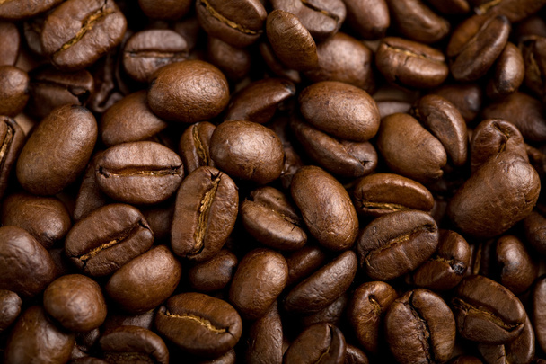 Coffee beans background - Photo, image