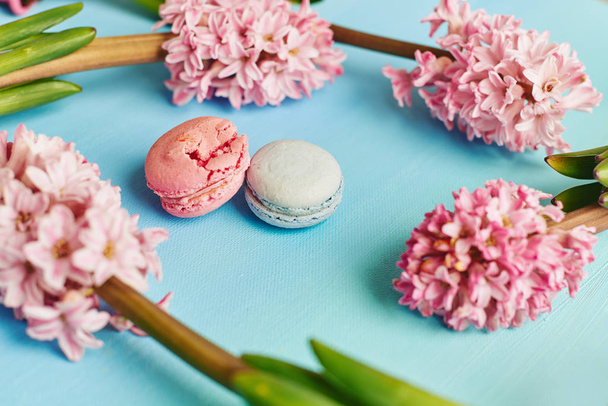 Macarons ile mavi arka plan üzerinde pembe sümbül - Fotoğraf, Görsel