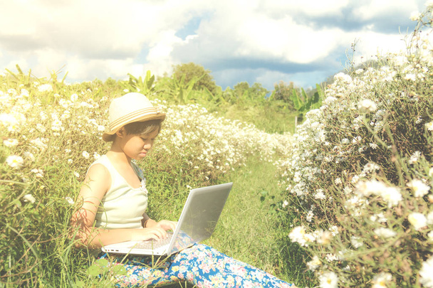 Ragazza uso laptop in campo crisantemo
 - Foto, immagini
