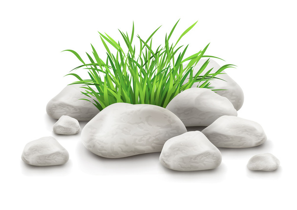 hierba verde en piedras como elemento de diseño de paisaje - Vector, imagen