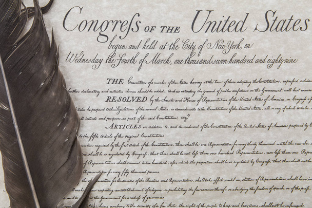 Bill of Rights z pióra Pióro - Zdjęcie, obraz