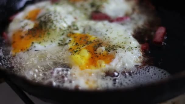 Bacon and fried Eggs - Footage, Video
