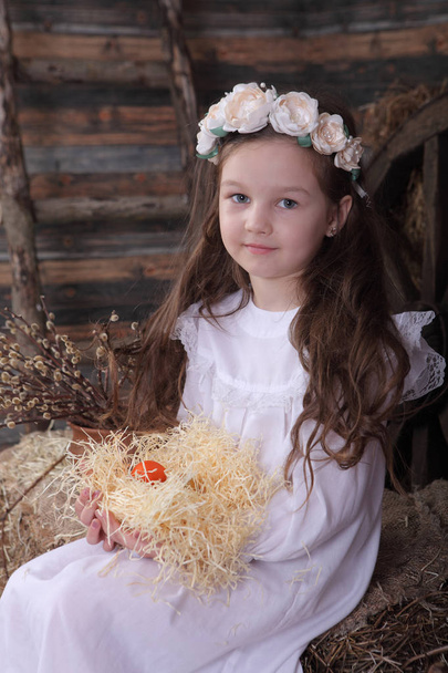 Girl in a wreath holding a nest with live chickens - Photo, image