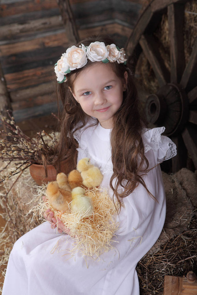 Girl in a wreath holding a nest with live chickens - Photo, Image