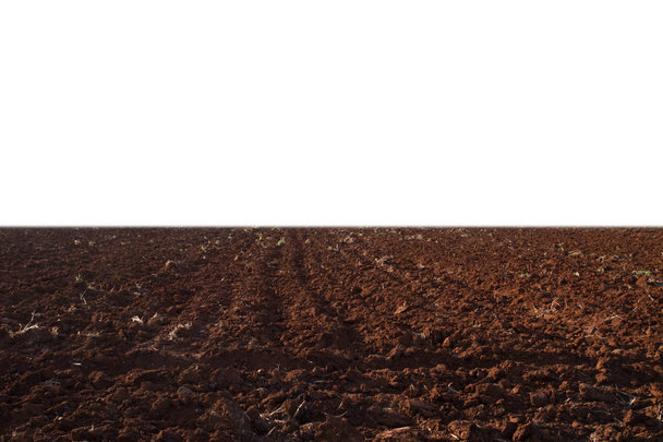 Campo arado após a colheita
 - Foto, Imagem