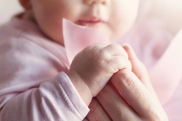 Little Cute Baby Hands in Mother Hand. Pink Background.  - Foto, imagen