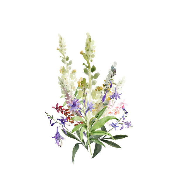 野生の花、白および着色された背景の絵の水彩イラスト - 写真・画像